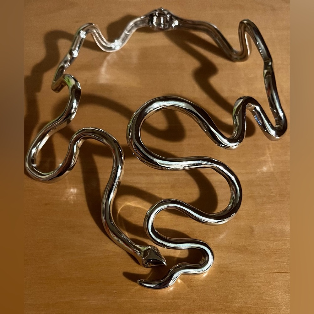 NWT Silver Snake Necklace choker unique all saints chain Happily Grey